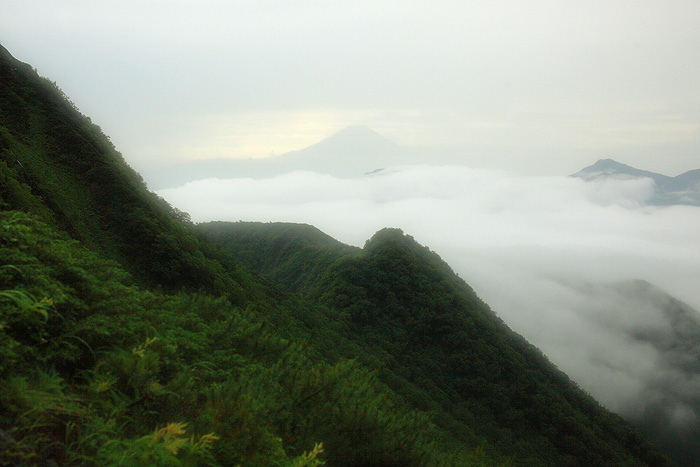 a0148606_1891976.jpg