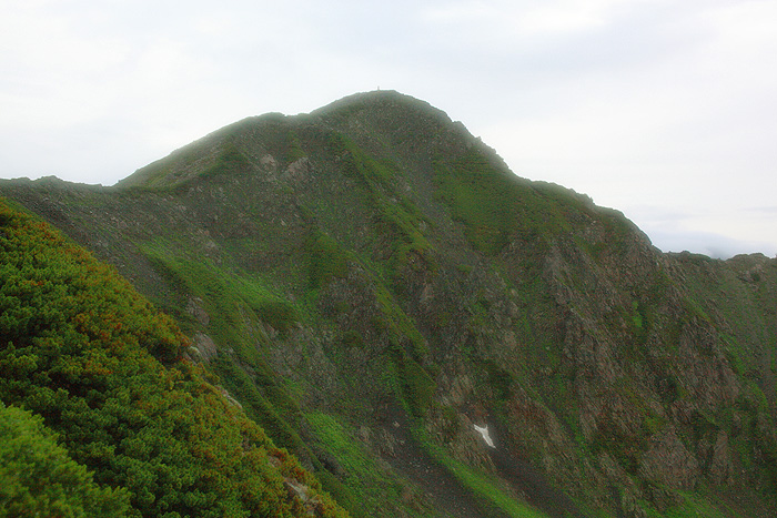 a0148606_189487.jpg