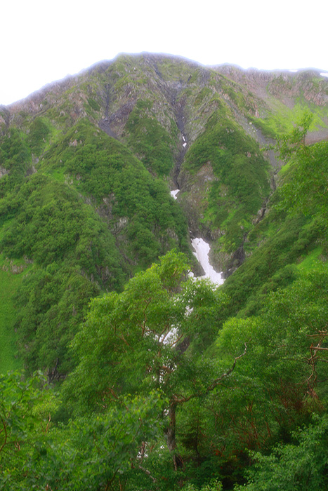 a0148606_1895624.jpg