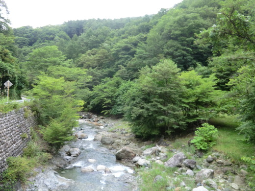 d0221319_213534.jpg