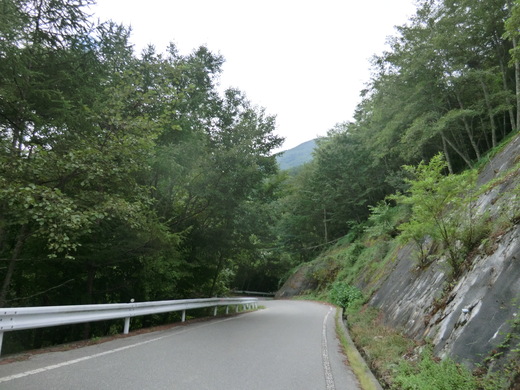 d0221319_214267.jpg