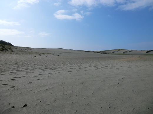 d0221319_21453843.jpg