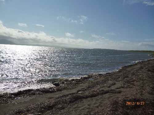 e0047322_21472611.jpg