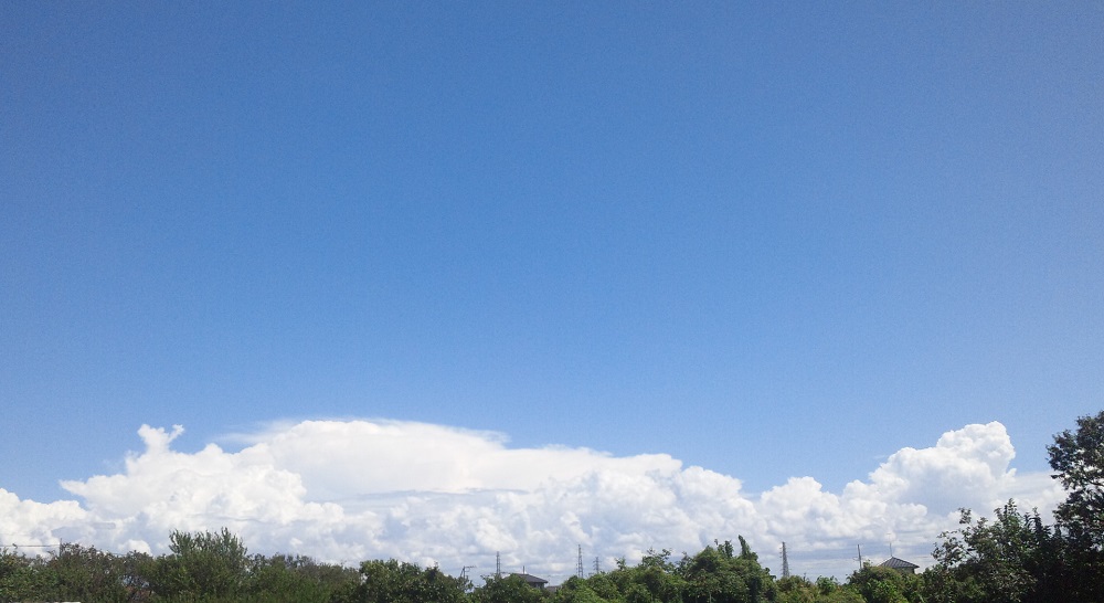 b0199924_14544081.jpg