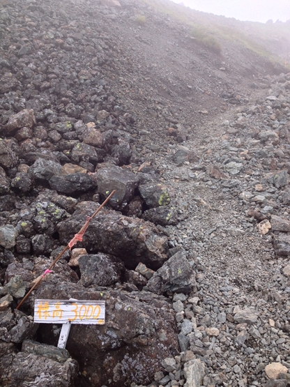 f0040525_201433.jpg