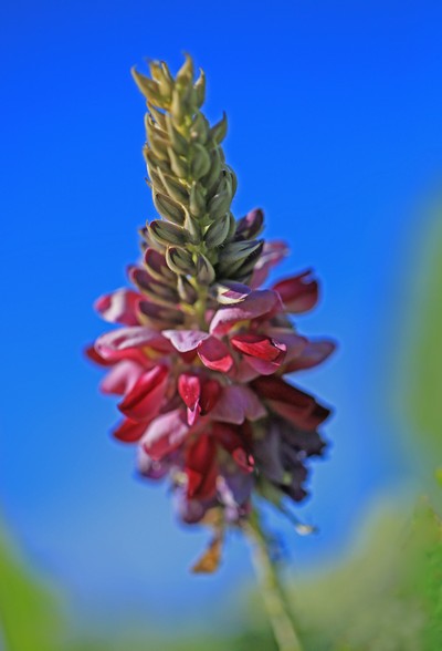 c0104227_22541228.jpg