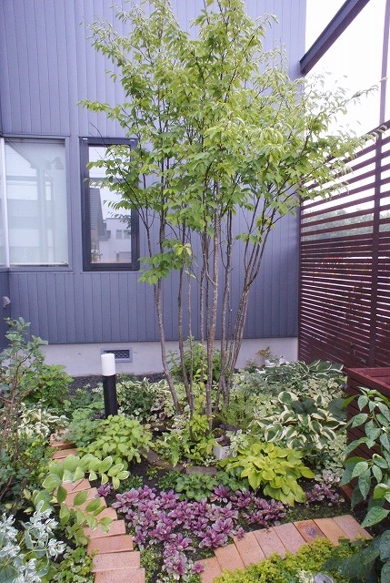 f0205733_1644647.jpg