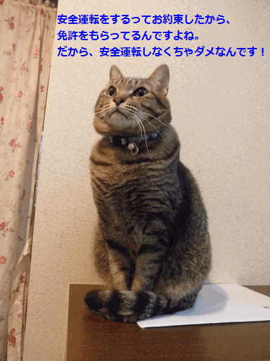 c0136736_19391477.gif