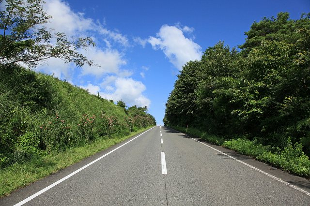 a0242438_1963386.jpg