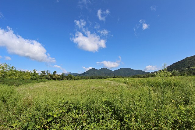 a0242438_1972693.jpg