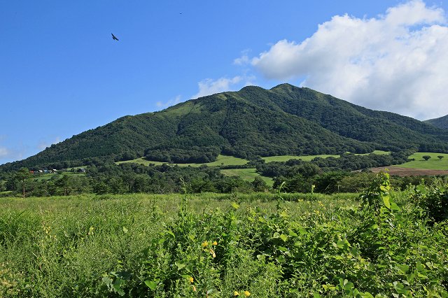 a0242438_1973668.jpg