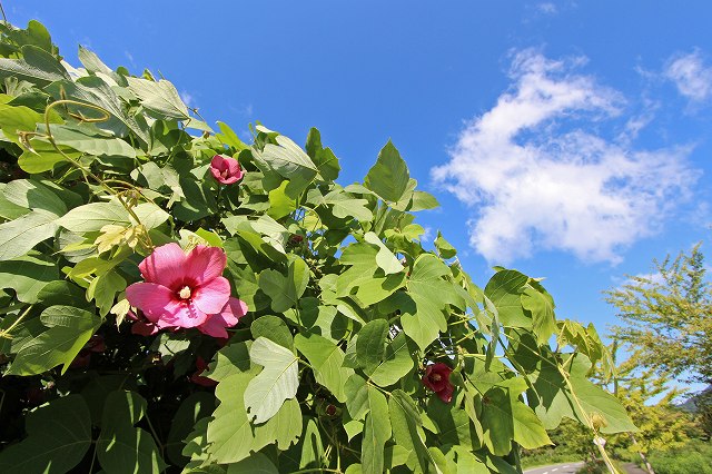 a0242438_1974179.jpg
