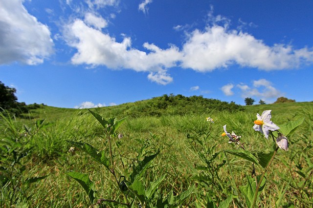 a0242438_1981099.jpg