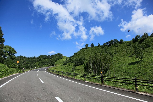 a0242438_1984940.jpg
