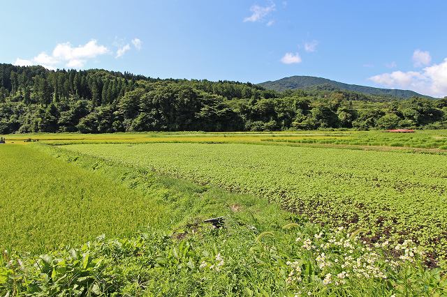 a0242438_1985811.jpg