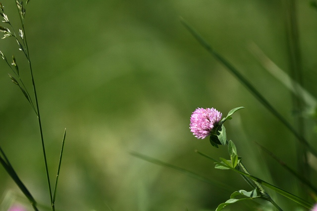 a0242438_1991575.jpg