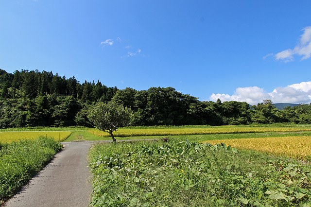 a0242438_19930100.jpg