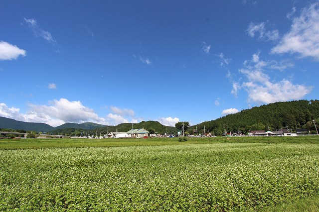 a0242438_1995529.jpg