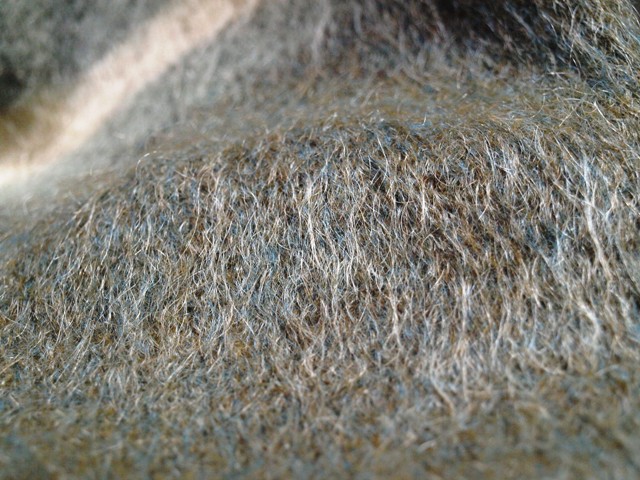 c0177238_1519368.jpg