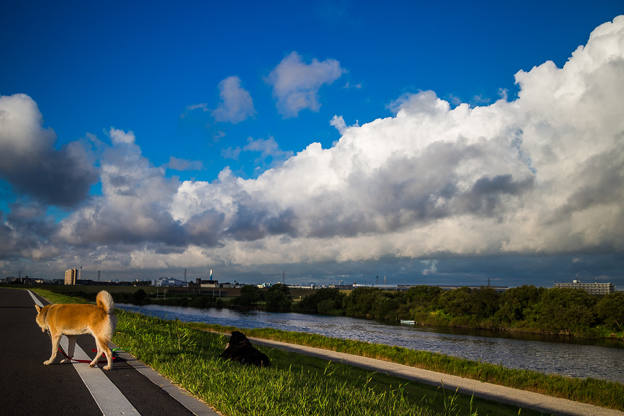 c0147042_6551320.jpg