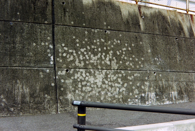 d0089742_233373.jpg