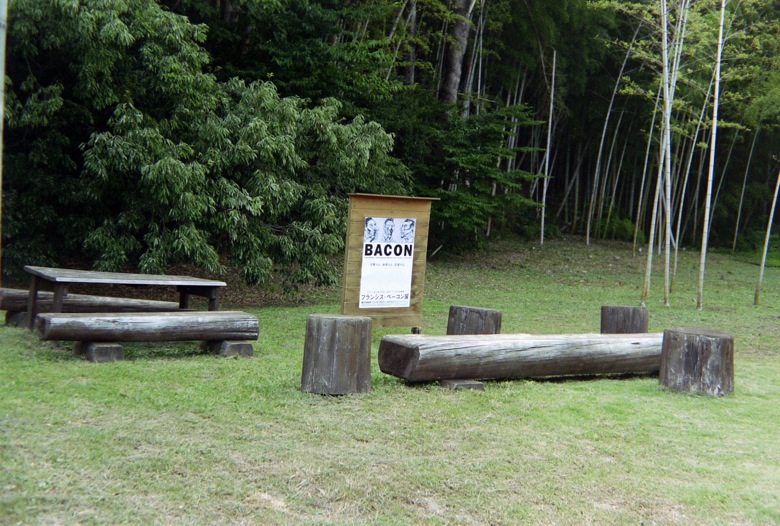 d0089742_23428100.jpg