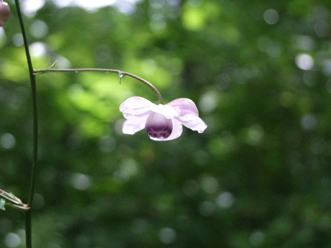 e0088260_2141196.jpg