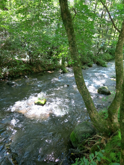 f0236260_15493712.jpg