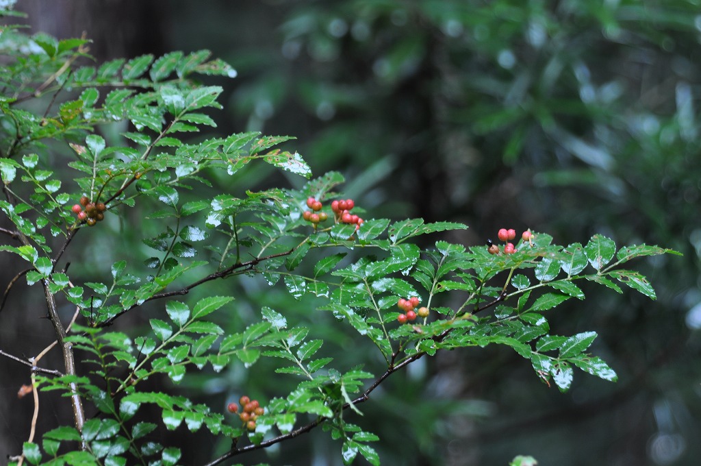b0104861_23281115.jpg