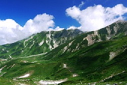 e0187064_23135925.jpg