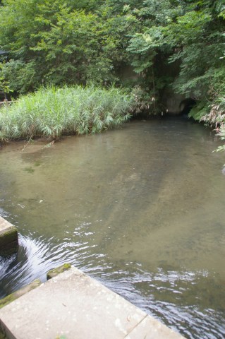 e0045768_21303543.jpg
