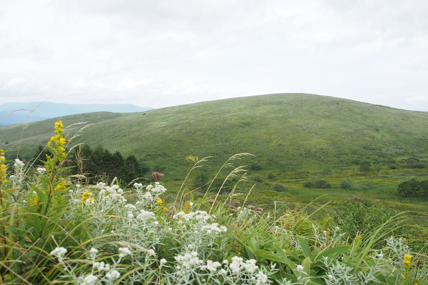 e0307372_141346.jpg