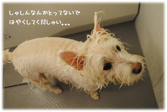 b0242873_024188.png