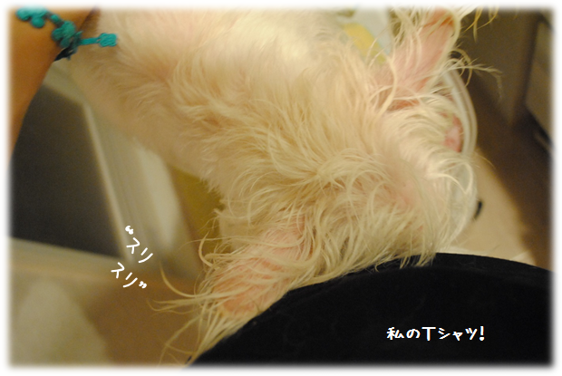 b0242873_0443550.png