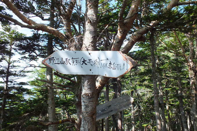 a0040879_225255.jpg