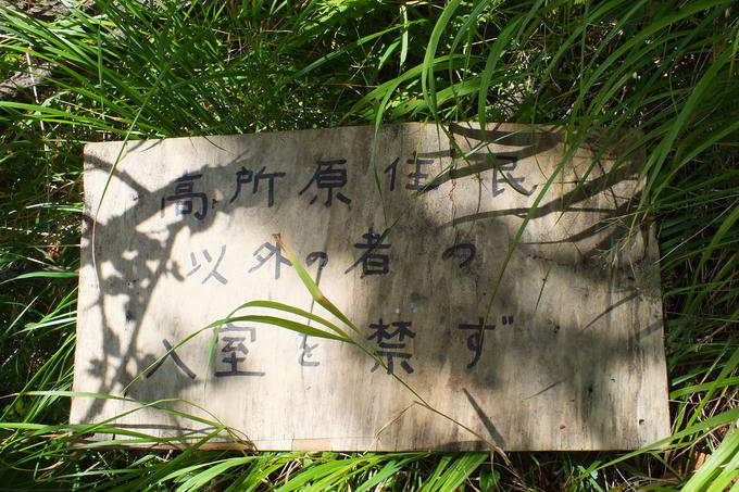 a0040879_23103813.jpg
