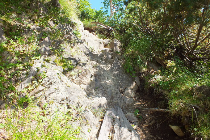 a0040879_23135076.jpg