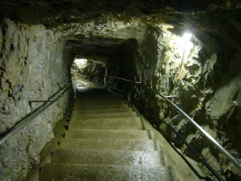 f0238779_846236.jpg