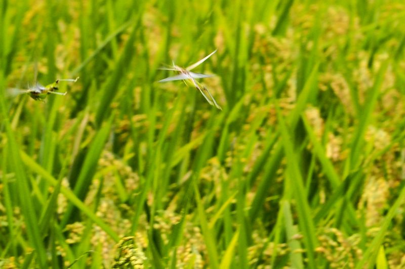 b0108186_2244885.jpg