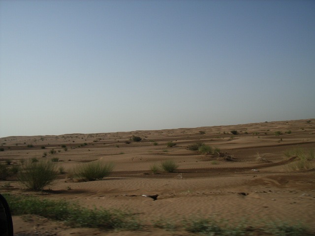 b0287088_20494084.jpg