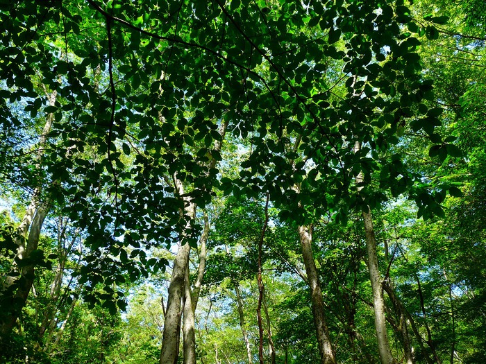 e0202393_2221813.jpg