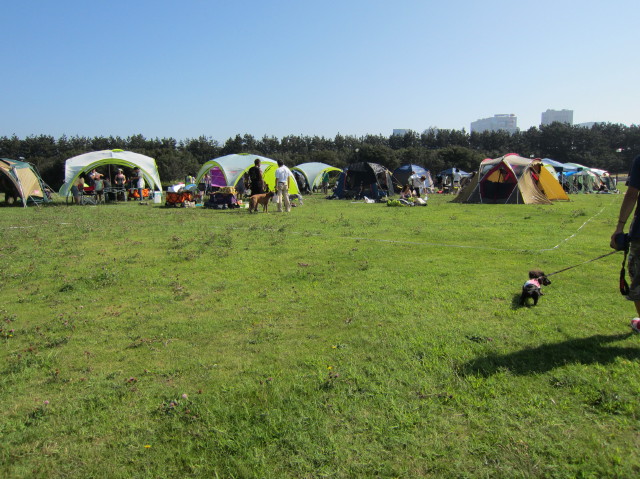 d0098295_22465595.jpg