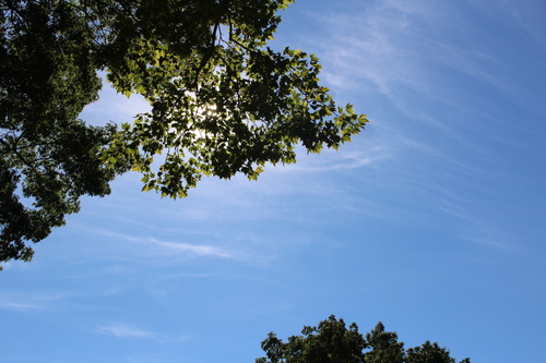 d0077699_16595267.jpg