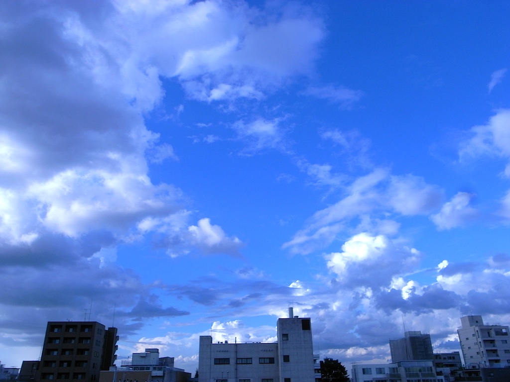 f0108399_2275487.jpg