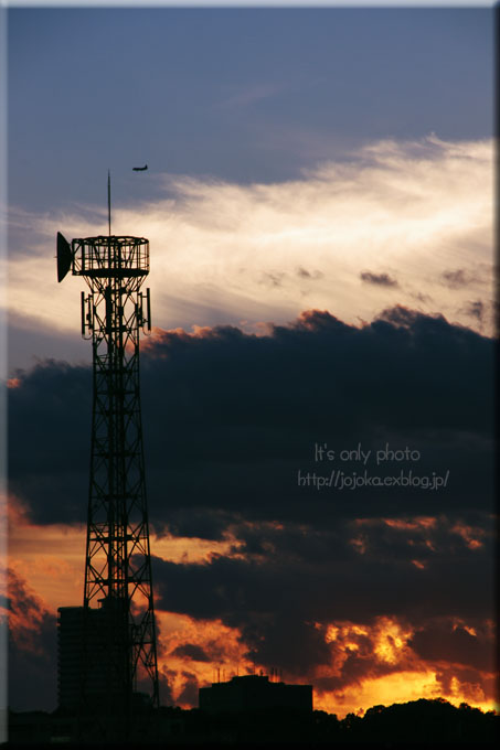 e0008800_16111331.jpg