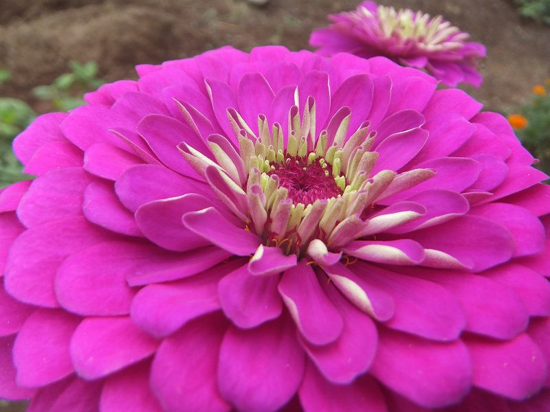 a0188405_9373428.jpg