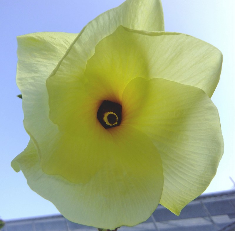 a0188405_96043.jpg