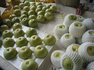 d0116205_22492928.jpg
