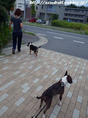 e0145805_1938171.jpg