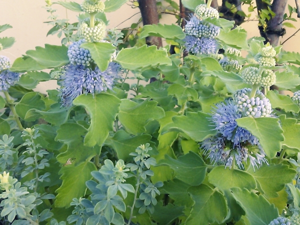 c0290908_22422495.jpg